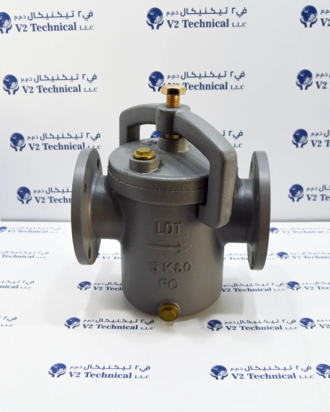 JIS F7121 Marine Cast Iron Can Water Strainer 5K 80A DN80 Flanged IMPA 872006 UAE - V2 Technical LLC Ajman
